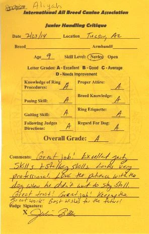 Junior Handling comments