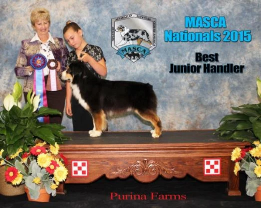 Best Junior Handler