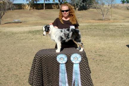 Gracie winning best in show junior puppy