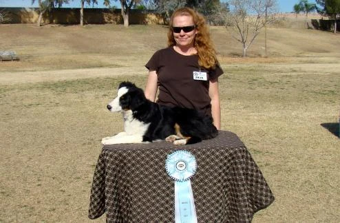 Dodge winning best in show