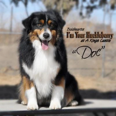 Doc beautiful picture.  Thanks Nicole