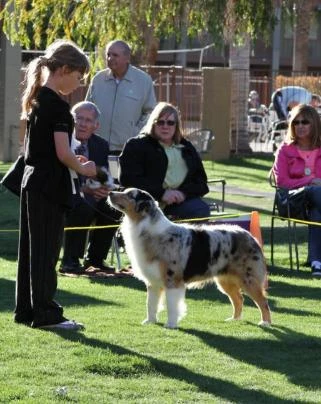 Aliyah and Jimmy in Best of Show Tucson, Az