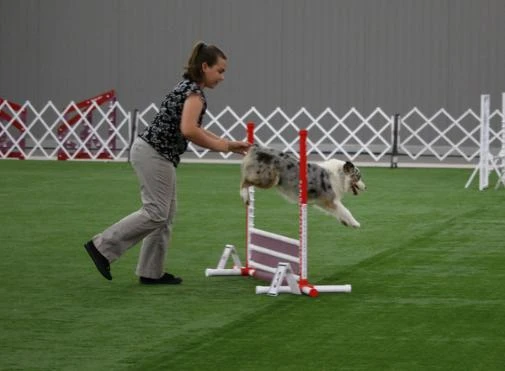 Liberty in agility