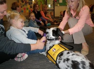 Loki the therapy dog.