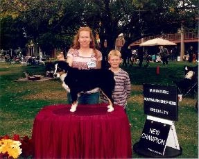 Copper winning at dog show