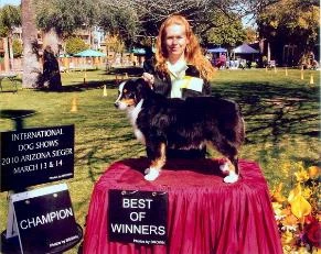 Copper Best of Winners